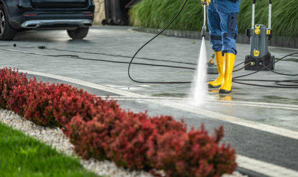 Best Pool Deck Cleaning  in San Augustine, TX